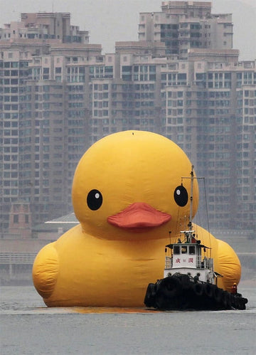 www ... its a heartache .... and a talking duck